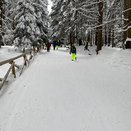 Gorska Osada 21 Apartment