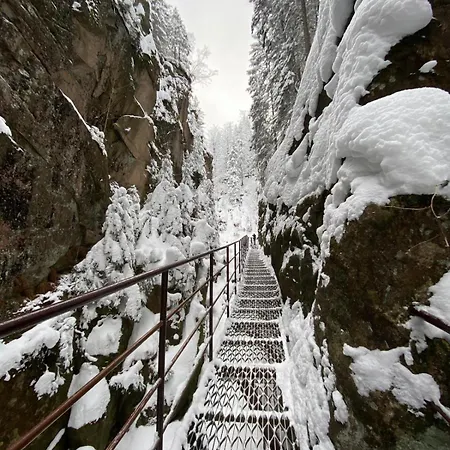 Apartment Gorska Osada 21