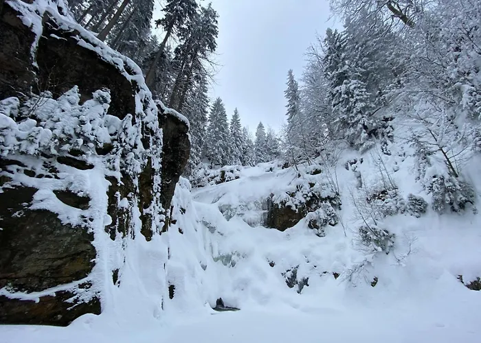 Gorska Osada 21 شقة