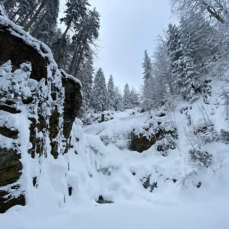 Gorska Osada 21 아파트